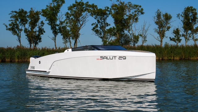 Salut 29 Thumbnail 2